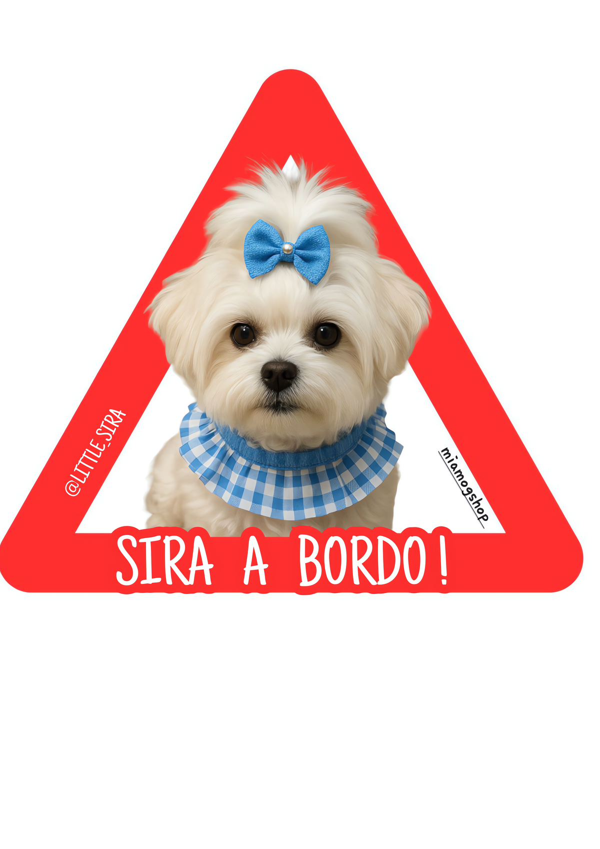 Pegatinas personalizadas para coche