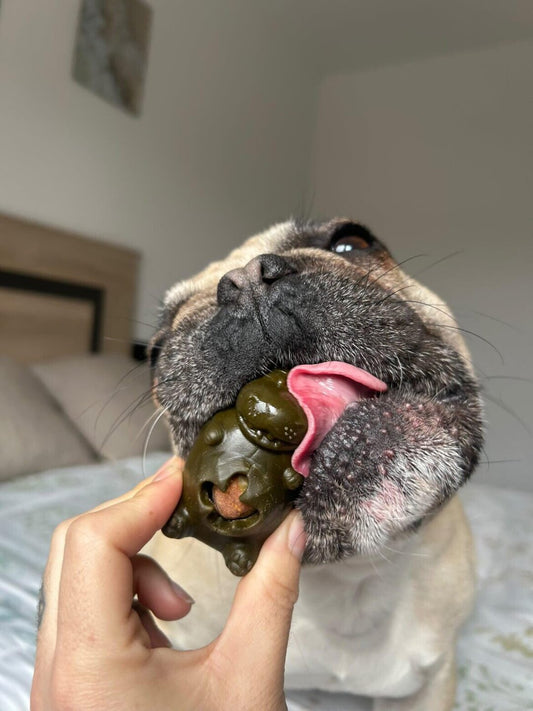 Snack Dental Perros Osito y Rinoceronte Pollo con Verduras