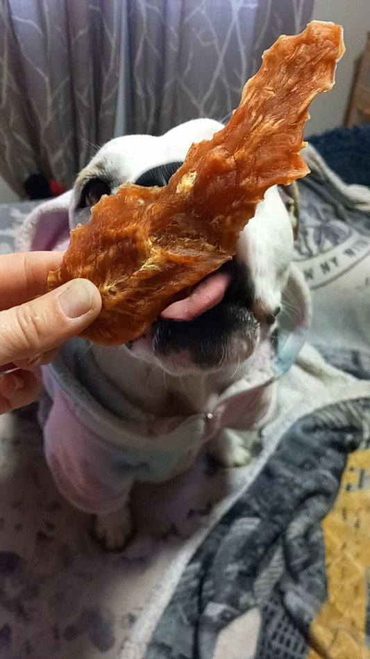 Delicia de Pollo Snack Perros y Gatos