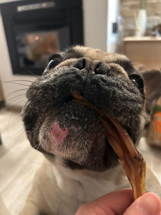 Patas de Pato Snack Deshidratado para Perros