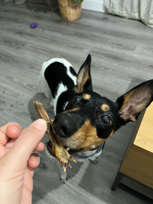 Lengua de pato deshidratada