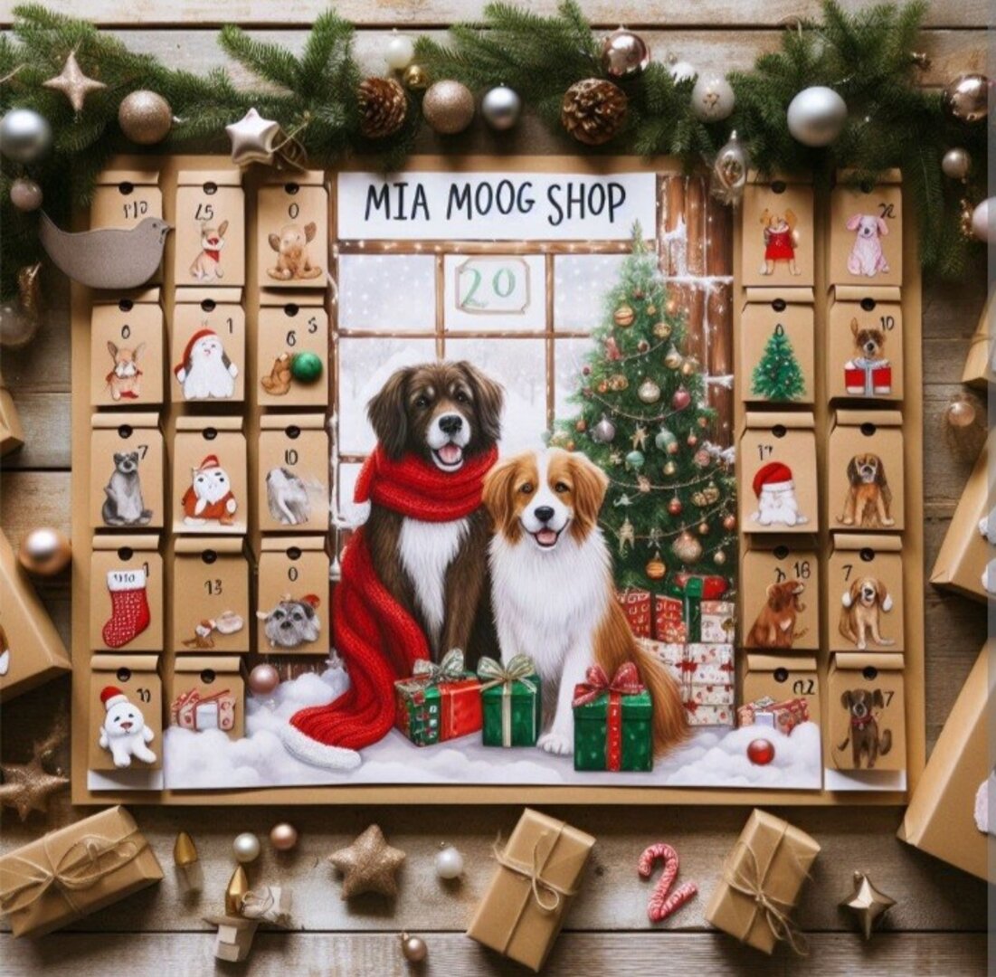 Calendario de Adviento Perro 🎄