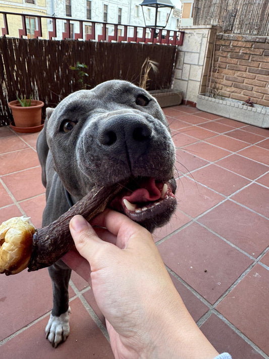Esófago de ternera deshidratado para perros