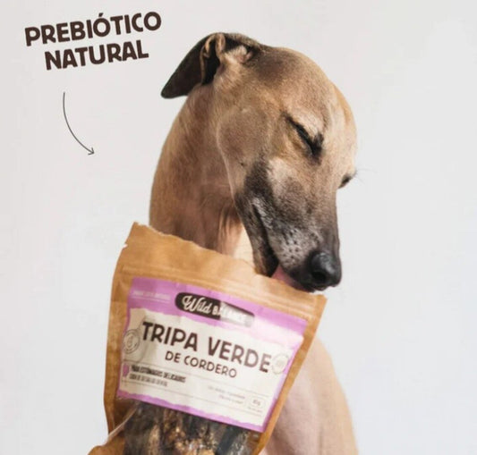 Tripa verde de cordero Wild Balance