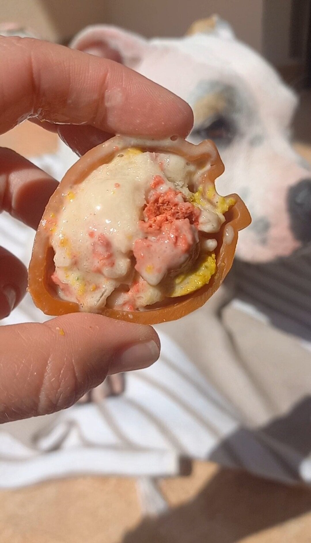 Frutitas - Snack Dental para Perro