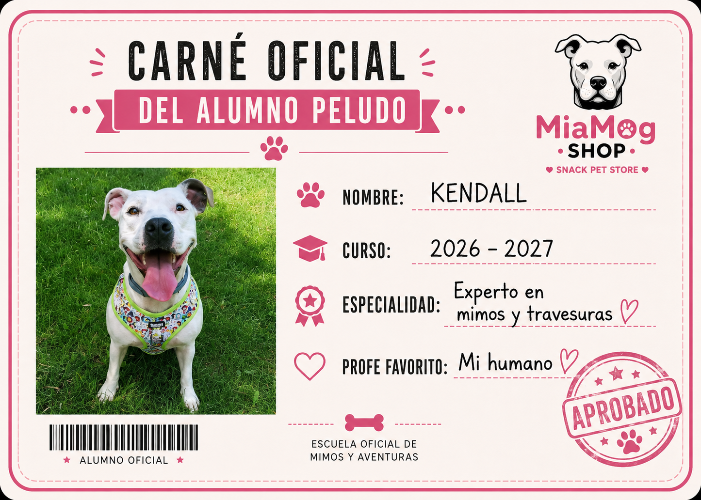Caja Cole Perruno 🎒🐾