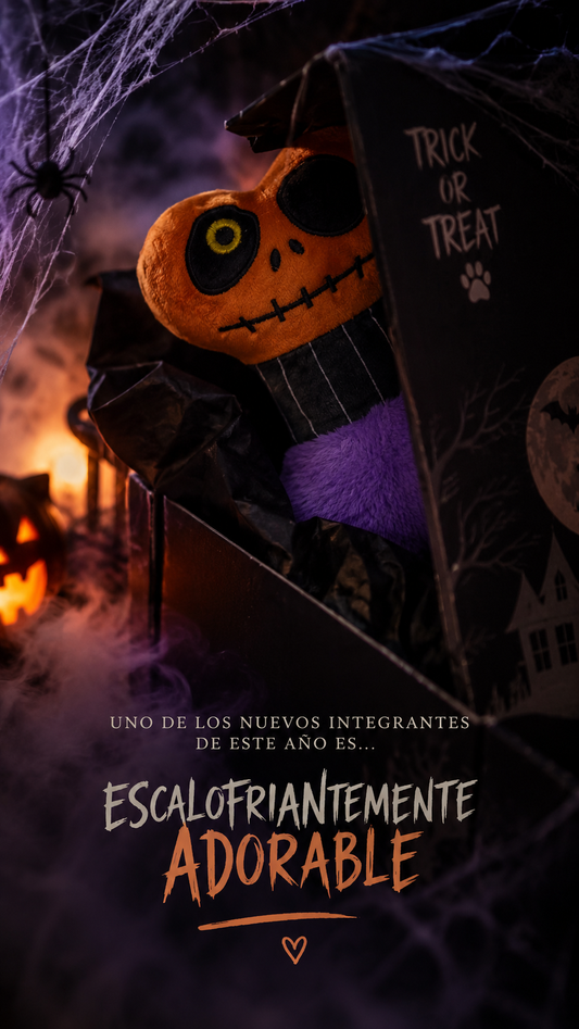 🎃 Cajitas de Halloween para Perros y Gatos – PREVENTA