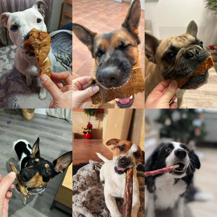 Vuestros favoritos