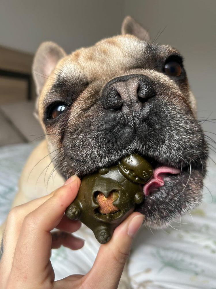 Snacks Dentales para Perros
