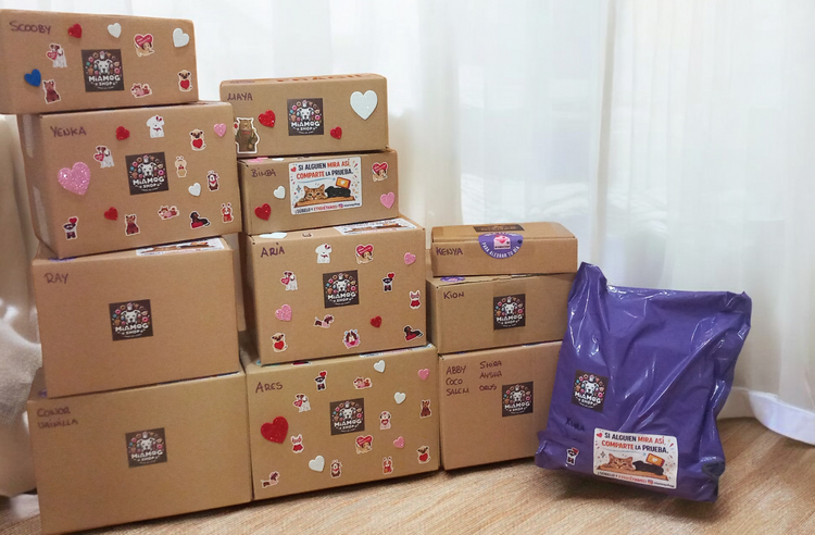 Cajas & Packs Sorpresa 🐶🐱