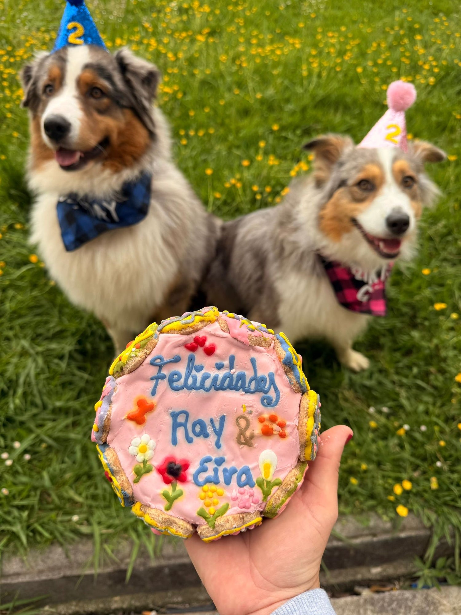Especial Cumpleaños