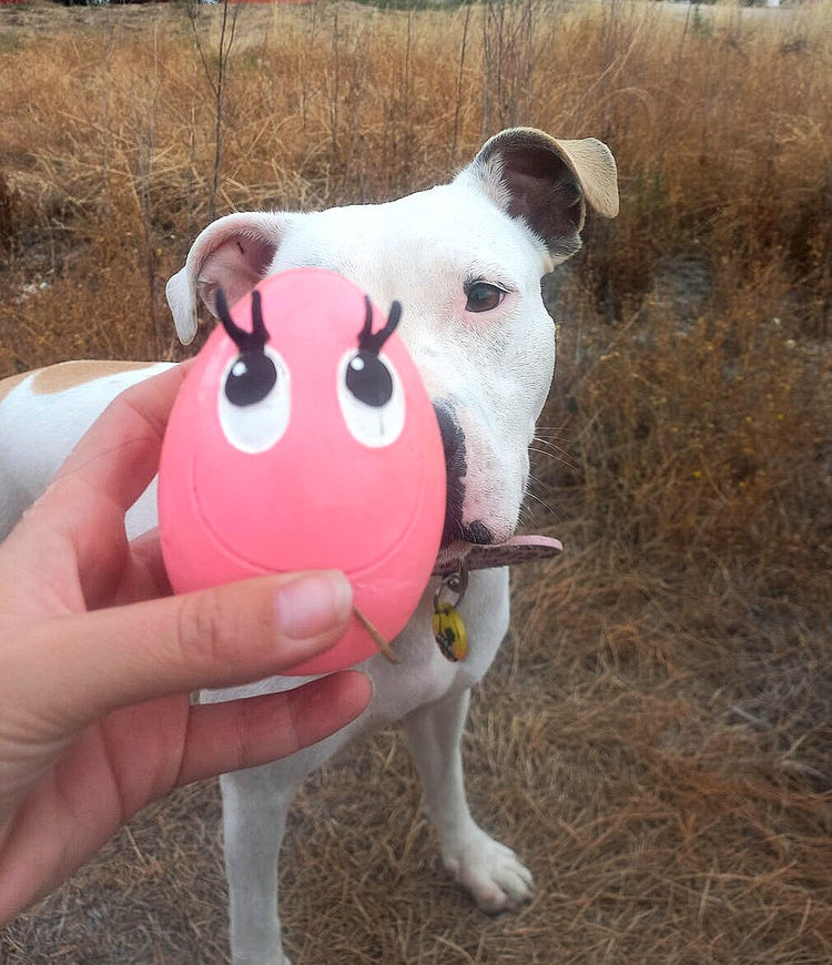 Juguetes para Perros