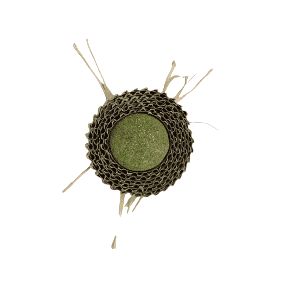 KittyMasters Pelota Rascador con Catnip