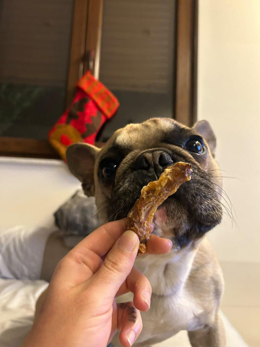 Snack Cuellos de Pollo Deshidratados para Perro