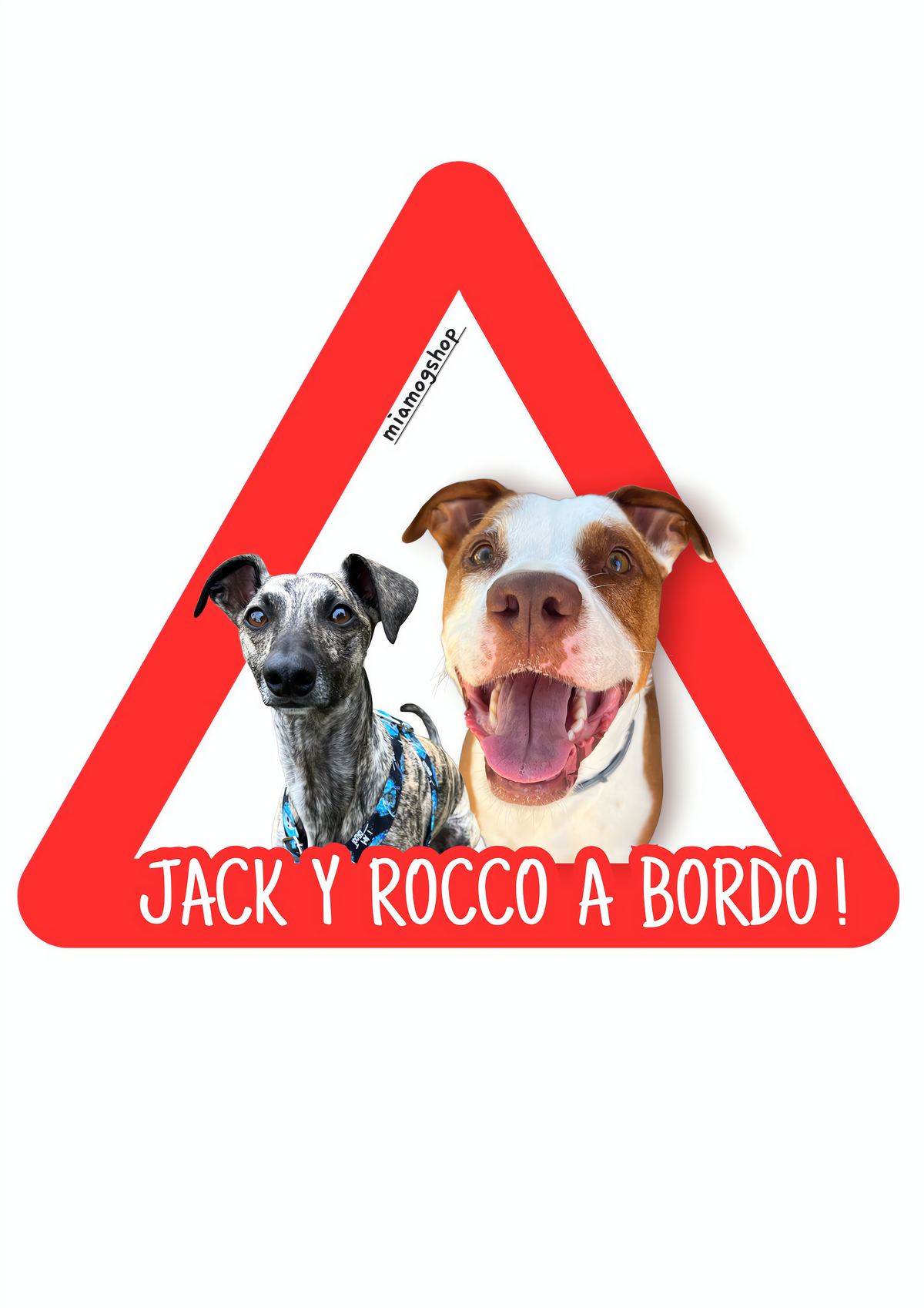 Pegatinas personalizadas para coche