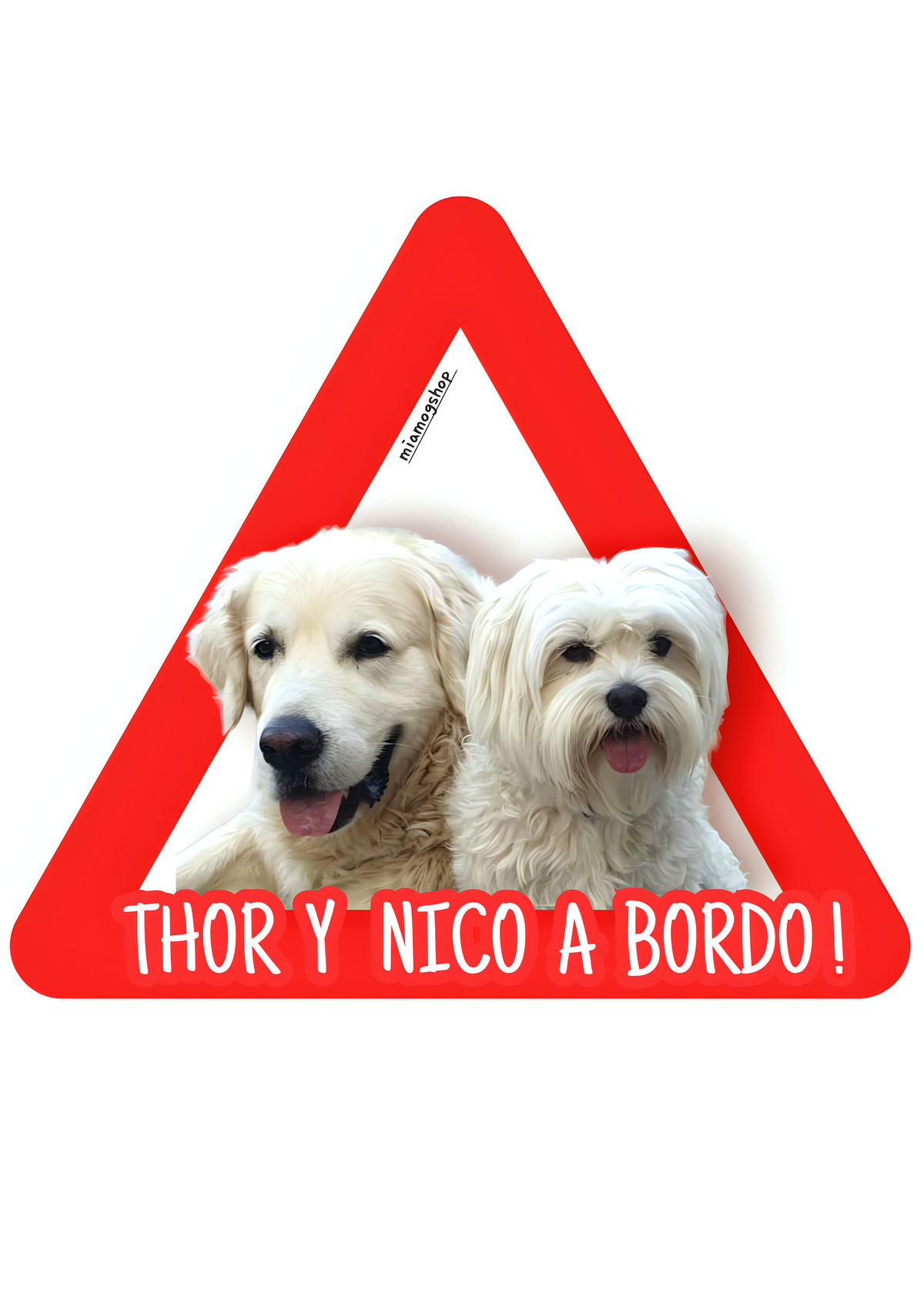 Pegatinas personalizadas para coche