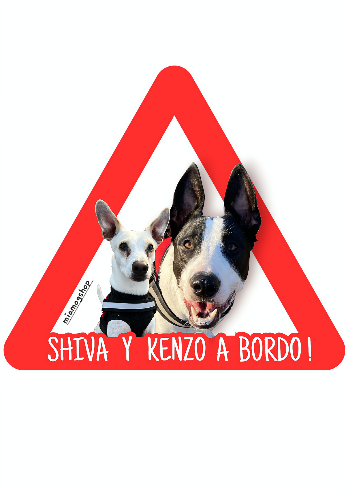 Pegatinas personalizadas para coche