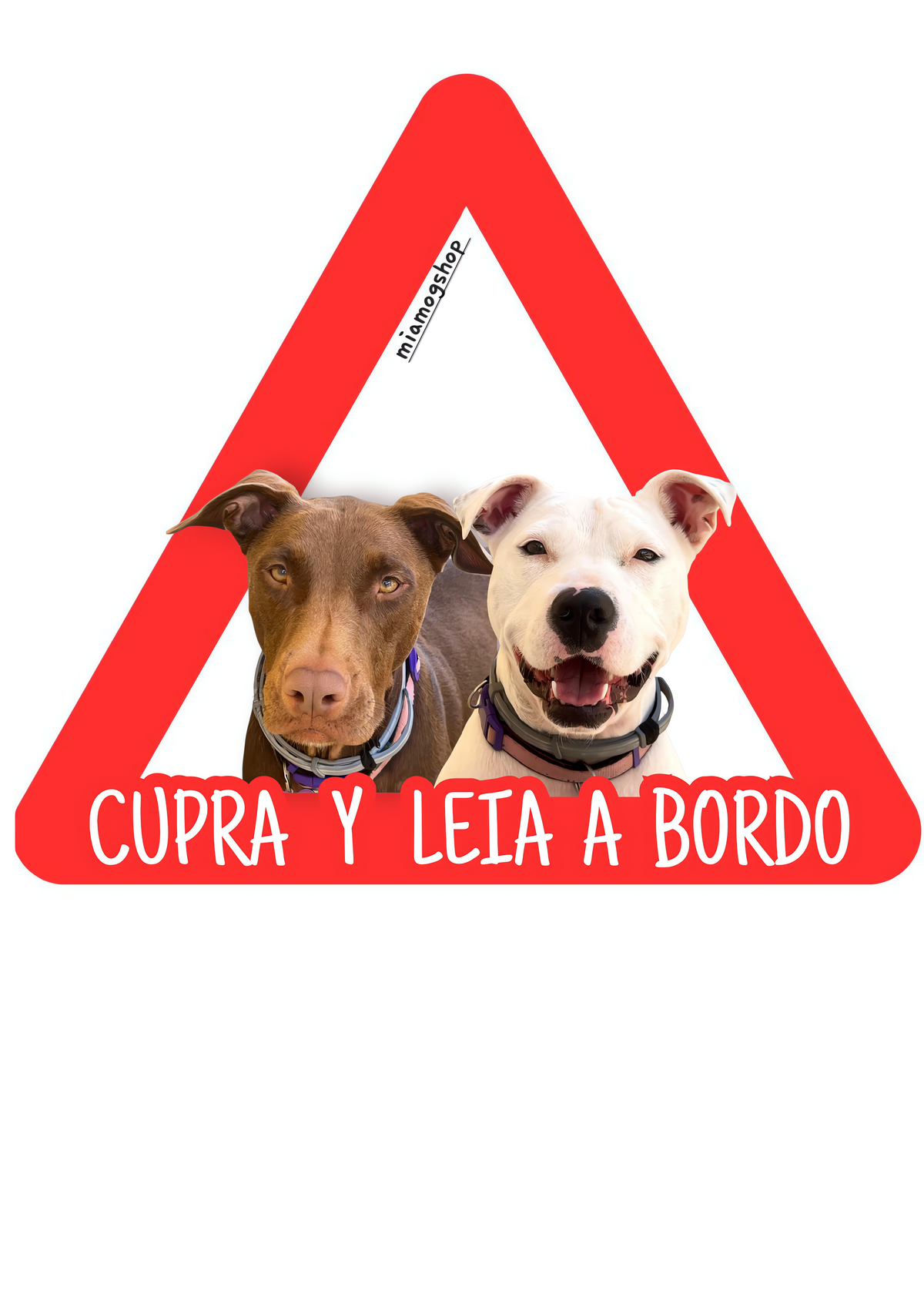 Pegatinas personalizadas para coche