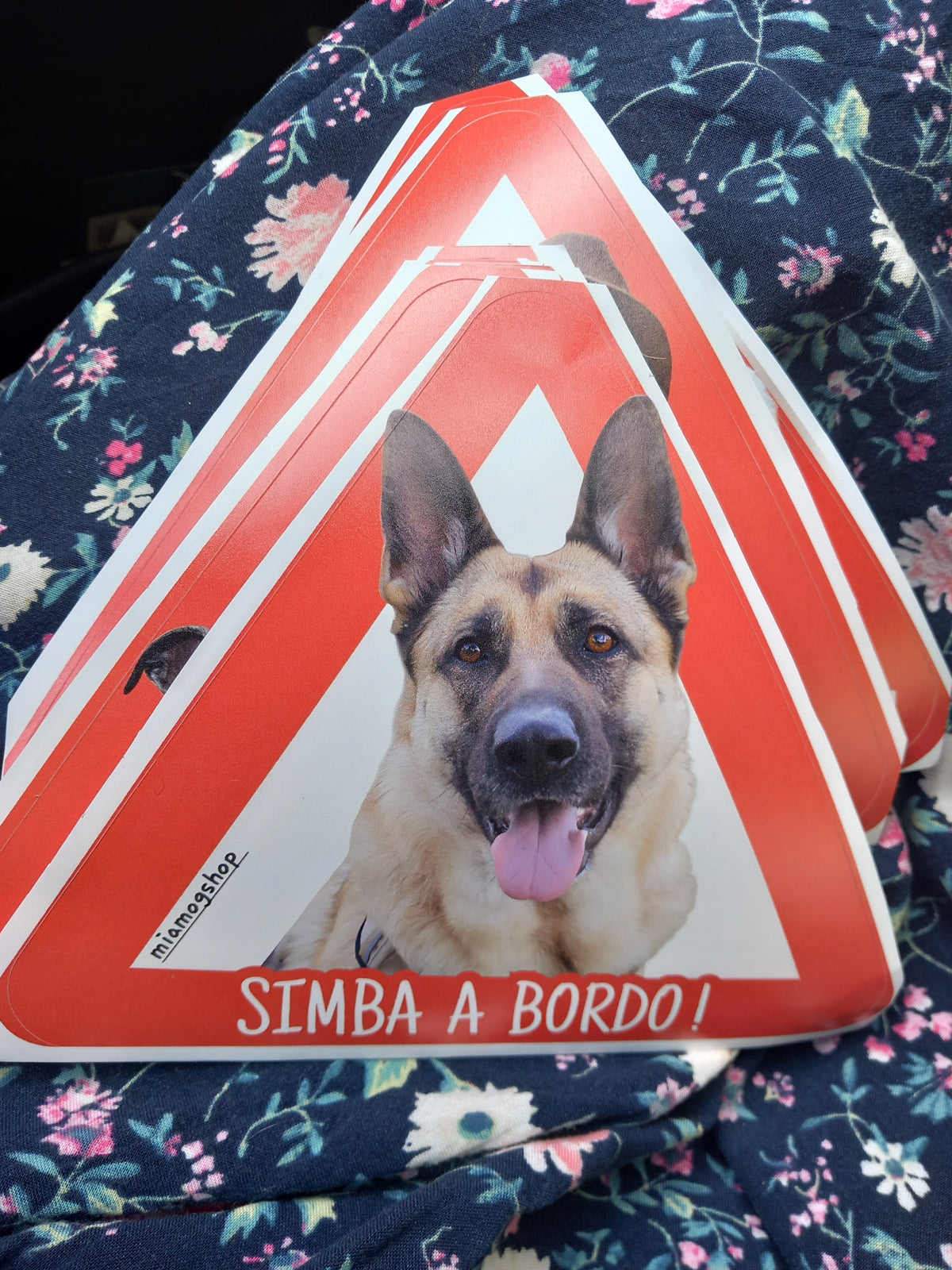Pegatinas personalizadas para coche