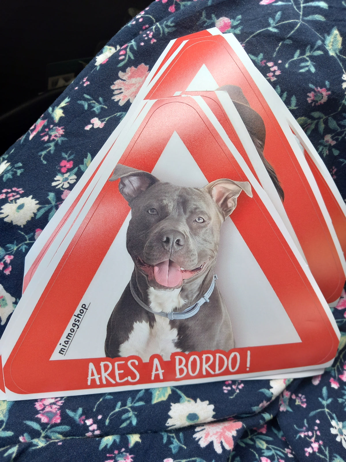 Pegatinas personalizadas para coche