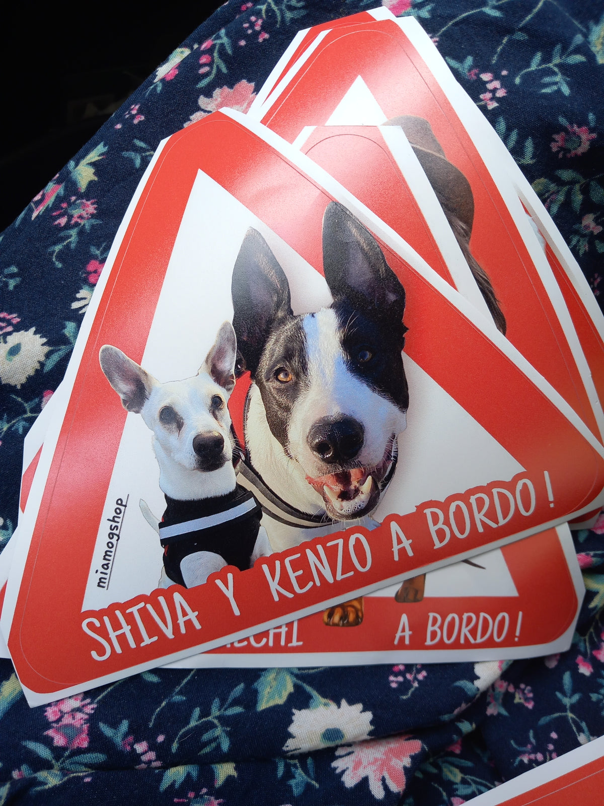 Pegatinas personalizadas para coche
