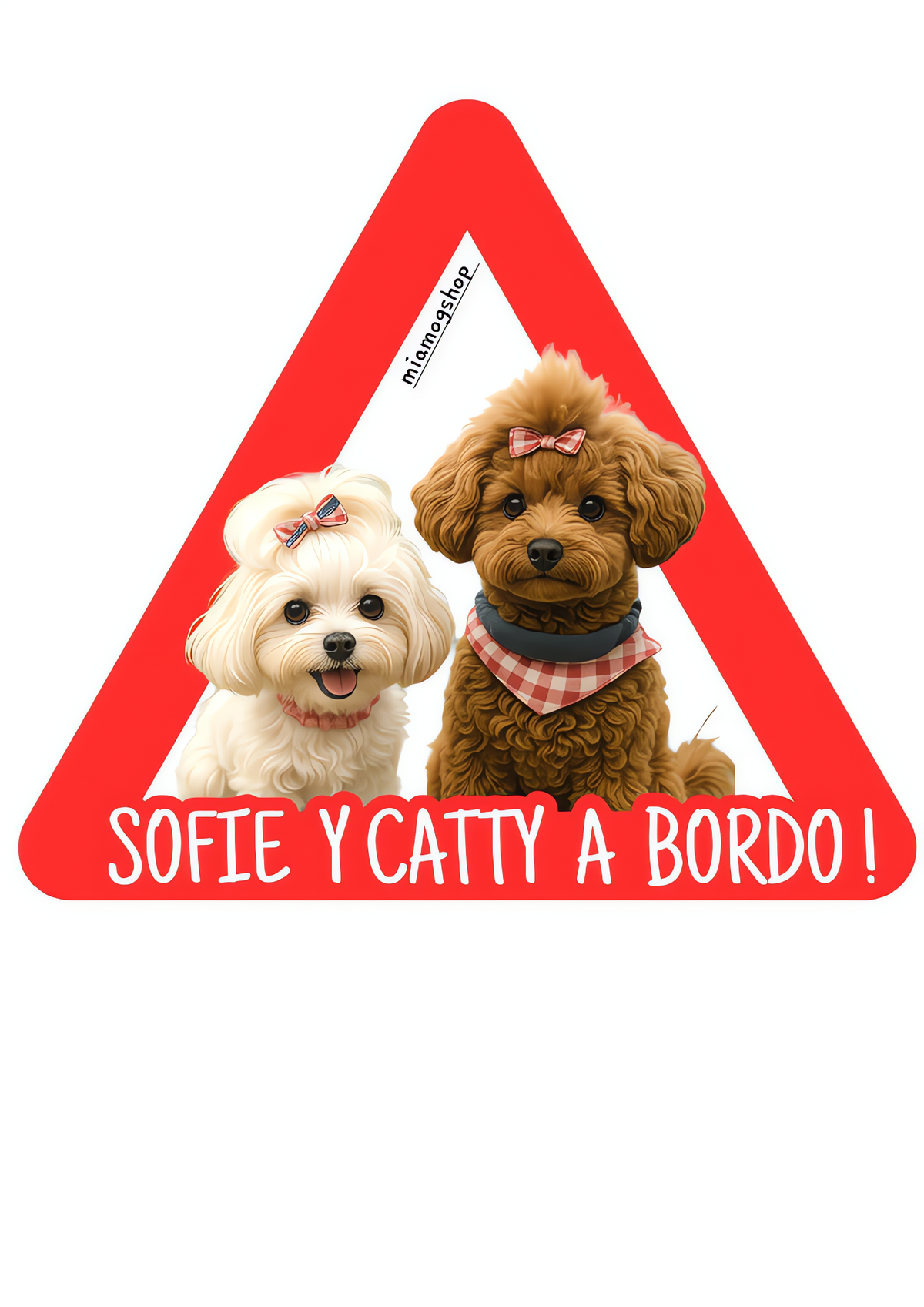 Pegatinas personalizadas para coche