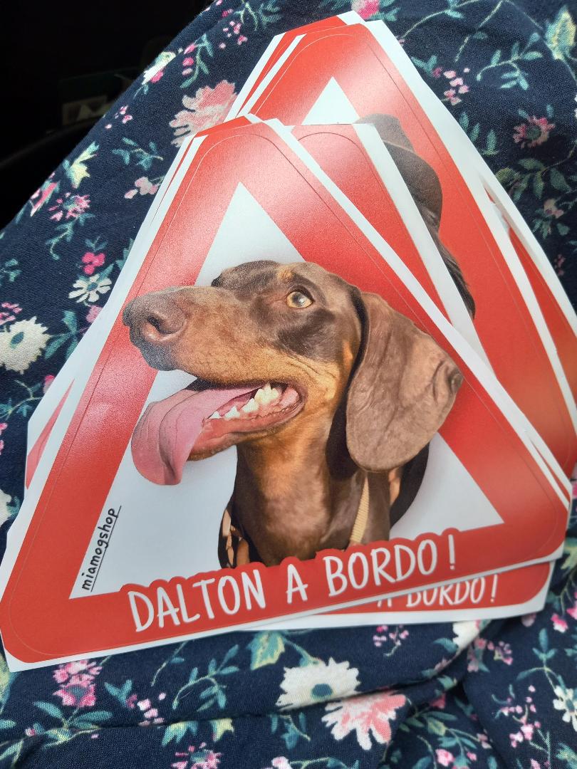 Pegatinas personalizadas para coche