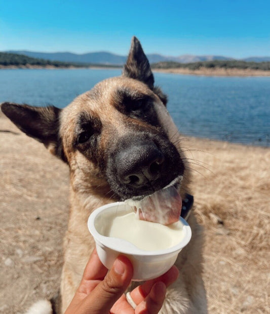 Yogur Helado Bacon Cake para Perros yowup