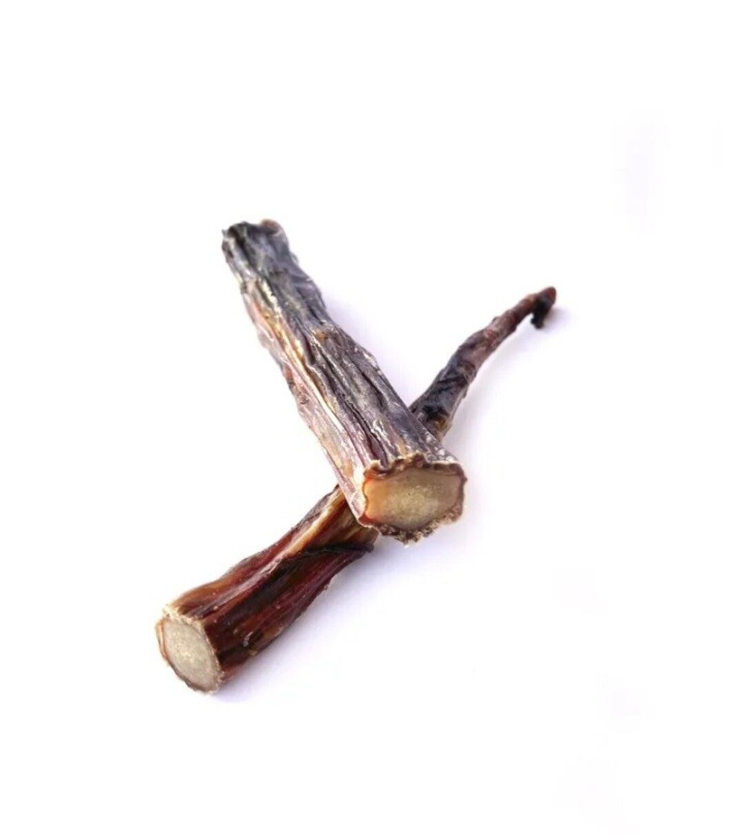 Rabo de Toro Snack para Perros - Mr Bones