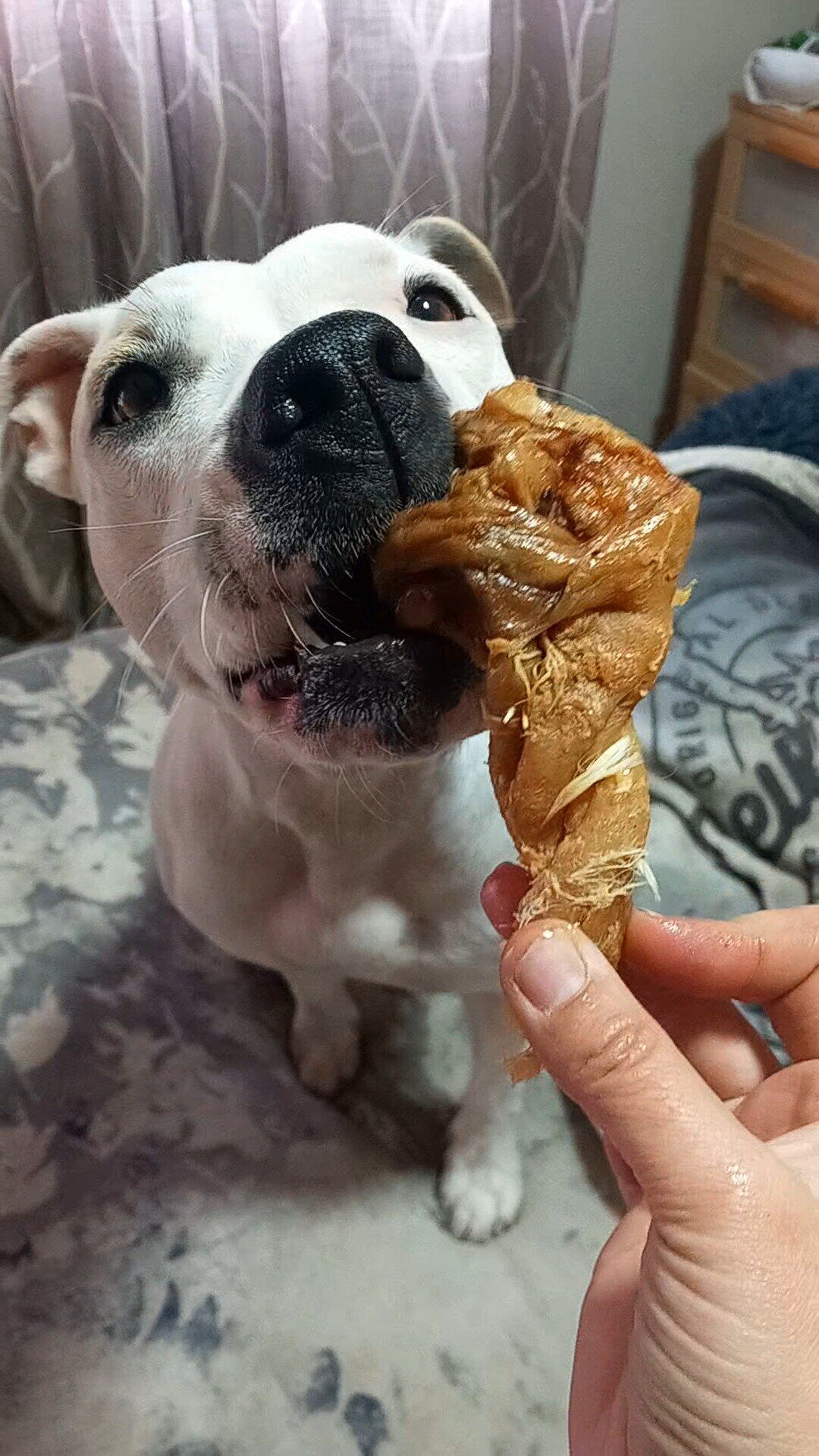 Torreznos de Pato - Snack para Perros