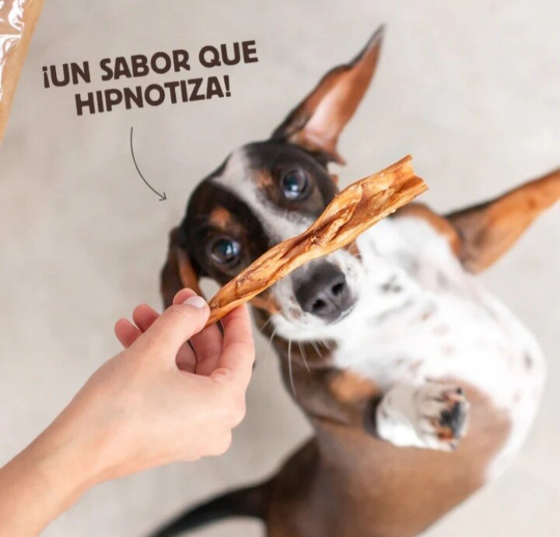 Caravaca de Cabra snack perro Wild Balance