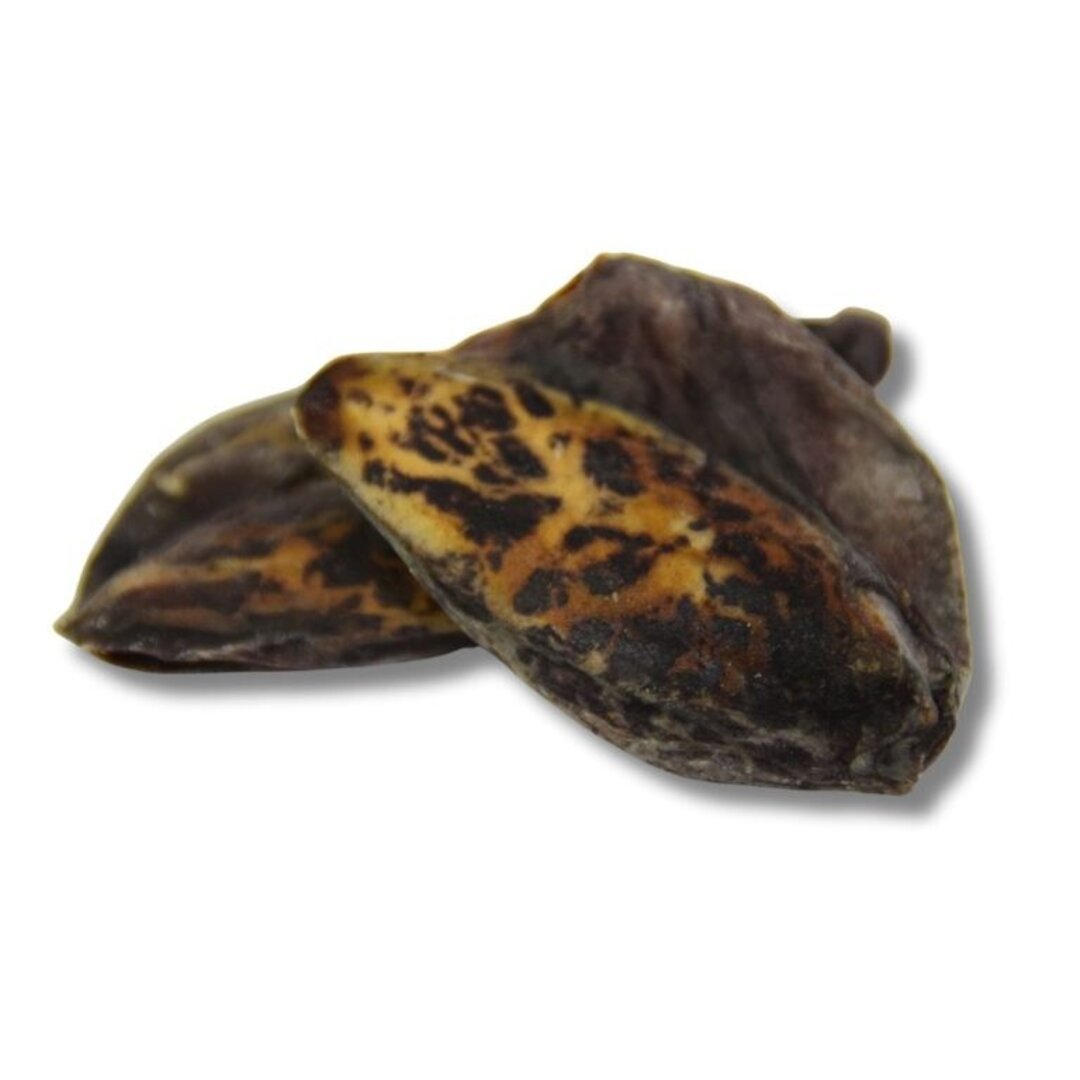 Snack Chocos (sepia) deshidratados
