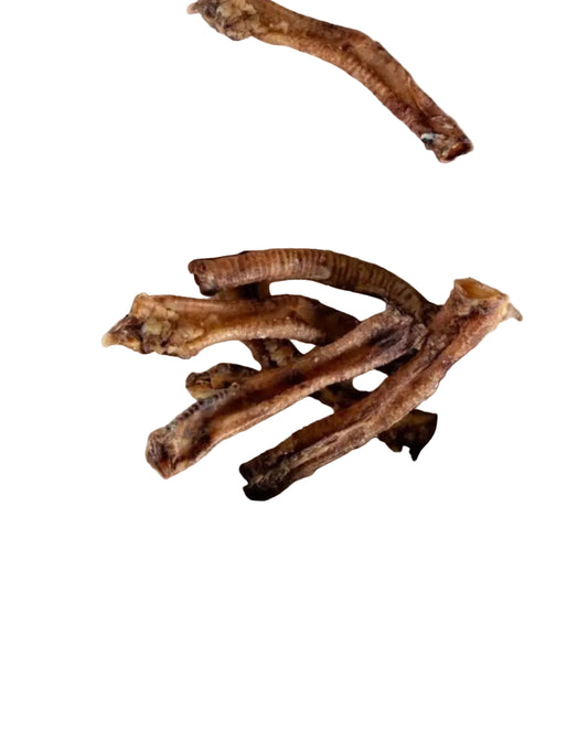 Traquea de cordero snack deshidratado para perros