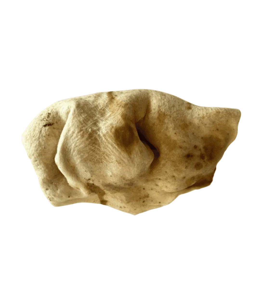 RAW HOCICO BLANCO DE BÚFALO