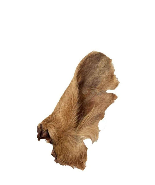 Oreja de vaca con pelo snack deshidratado para perros