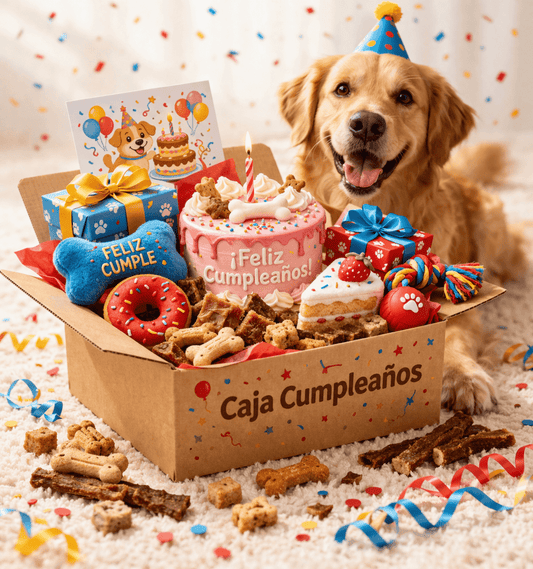 Caja Feliz Cumpleadog 🎁🐾