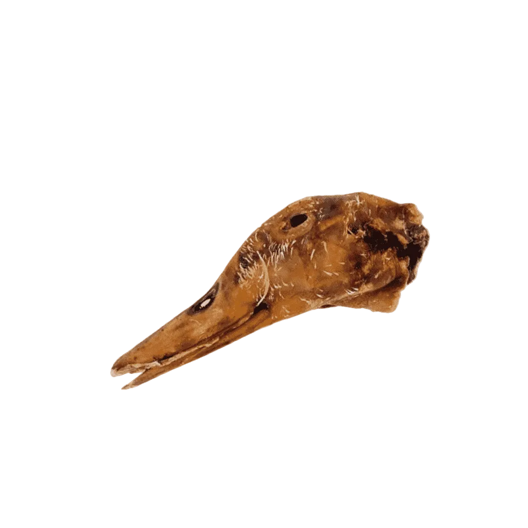 Cabeza de Pato Deshidratada - Snack para Perros