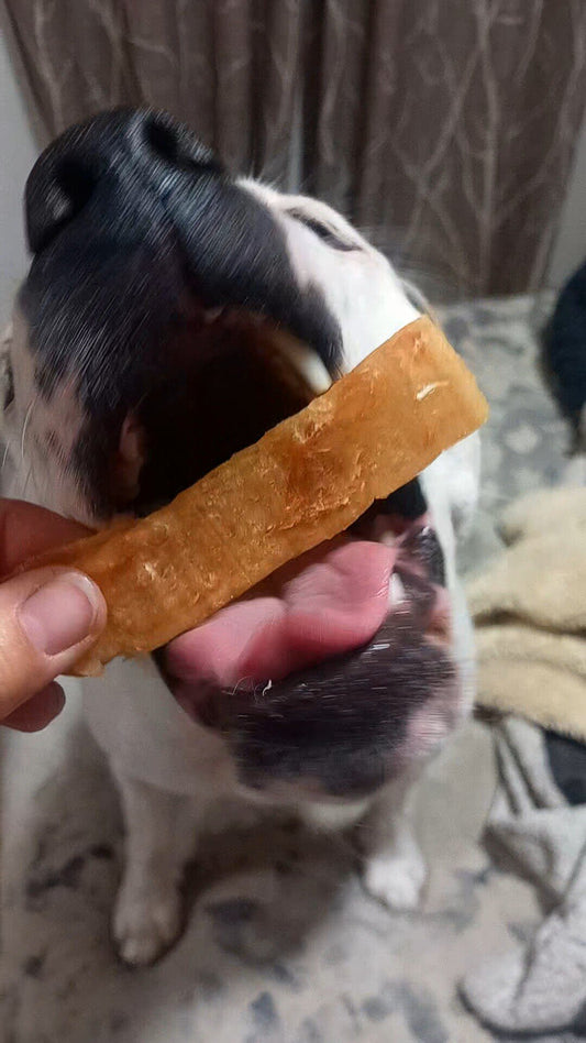 Cecina de Pollo Snack Perros y Gatos