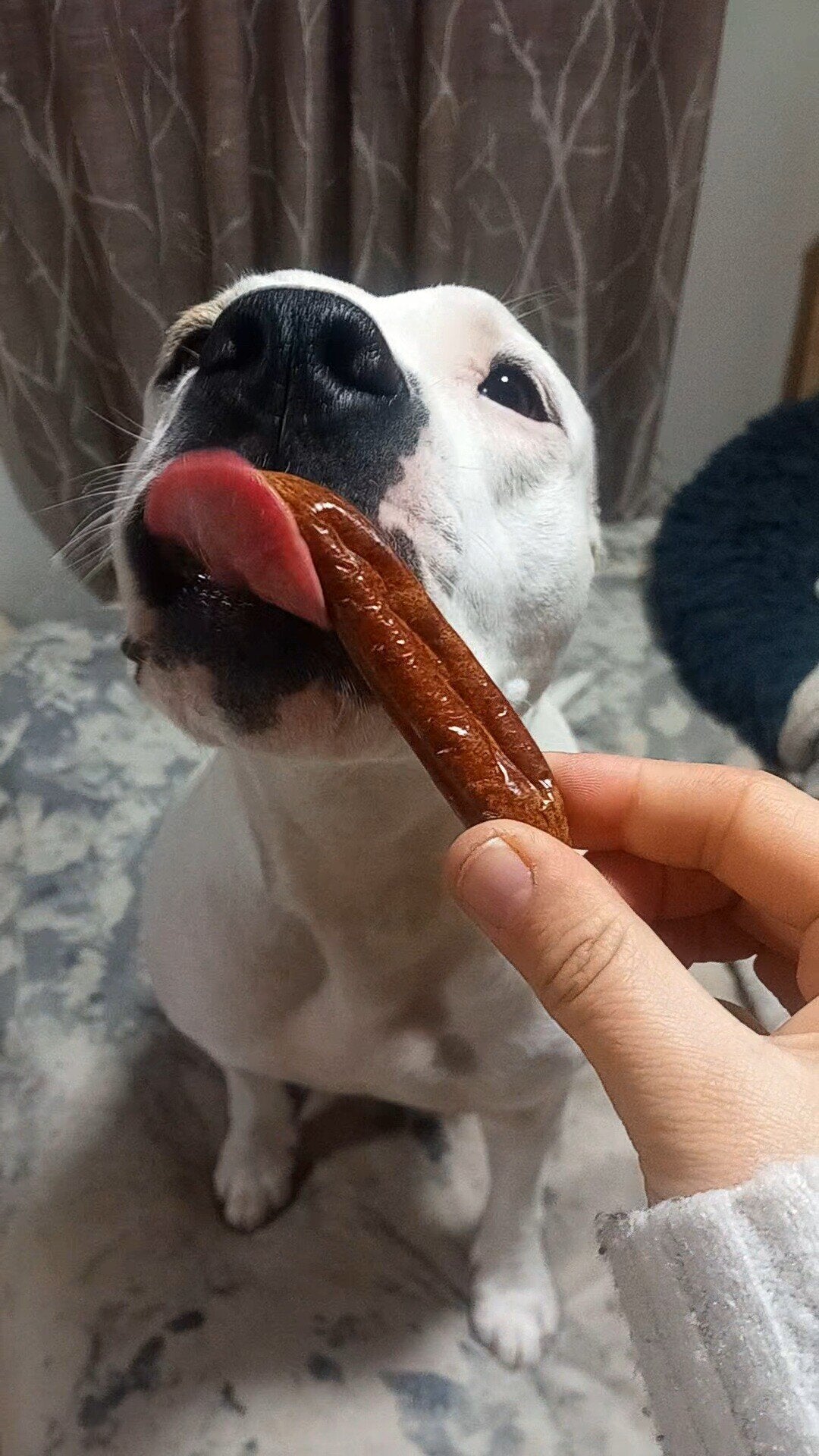 Salchichas Deshidratadas de Pollo Snack Perros