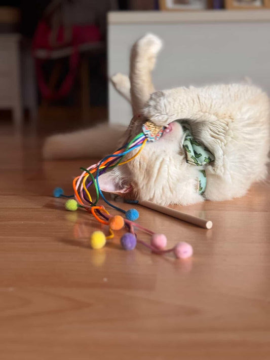 Caña piñata Catnip - Juguete para gato