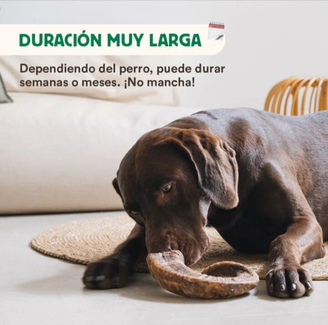 Cuerno de Cabra mordedor natural wild balance