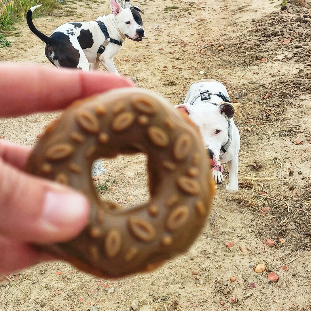Donuts de Pollo Glaseado 7cm
