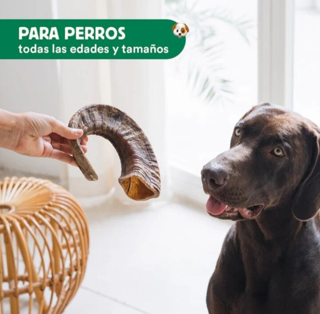 Cuerno de Cabra mordedor natural wild balance