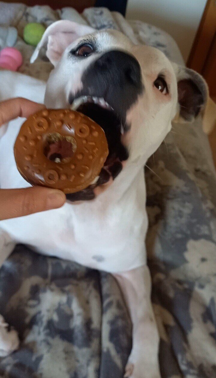 Donuts de Pollo Glaseado 7cm