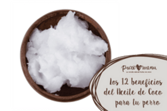 Aceite de coco virgen bio 272ml