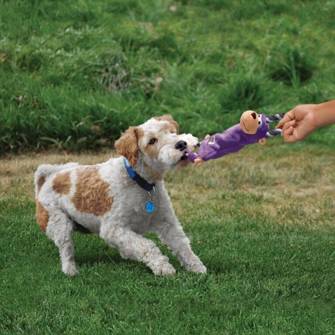 Monito con Nudos en Interior – Juguete Mordedor para Perros