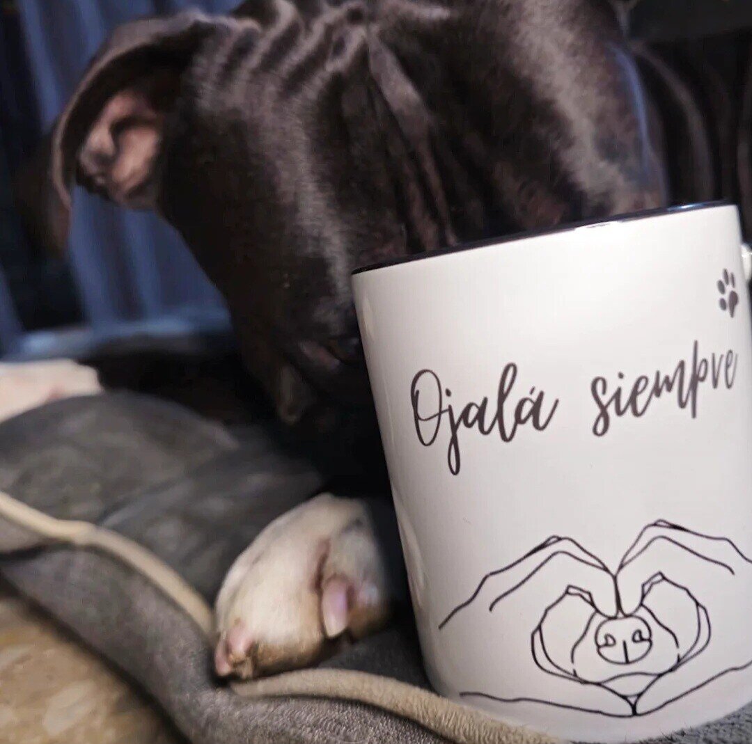 Taza Ojalá Siempre