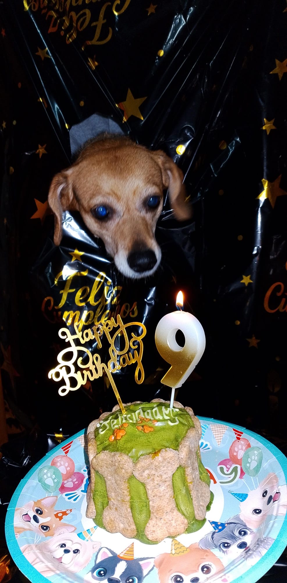 Tarta de cumpleaños para perros con huesitos
