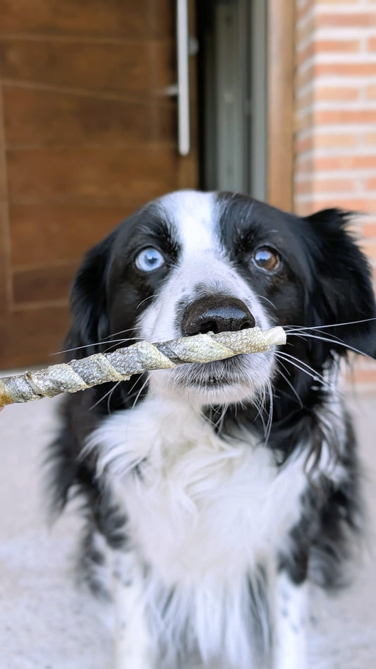 Snacks Palitos con Piel Recubiertos de Bacalao para Perros