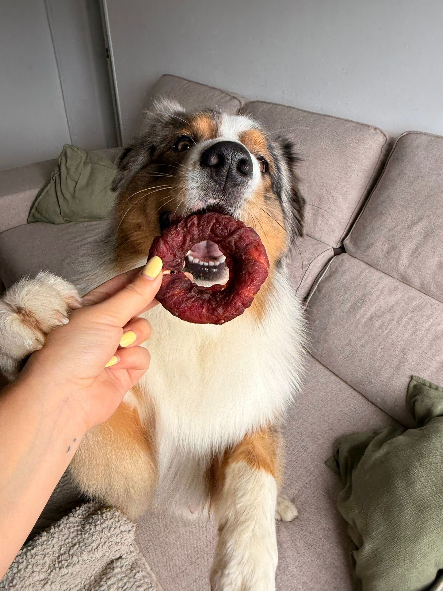 Donuts de pato snack para perro 7.5cm